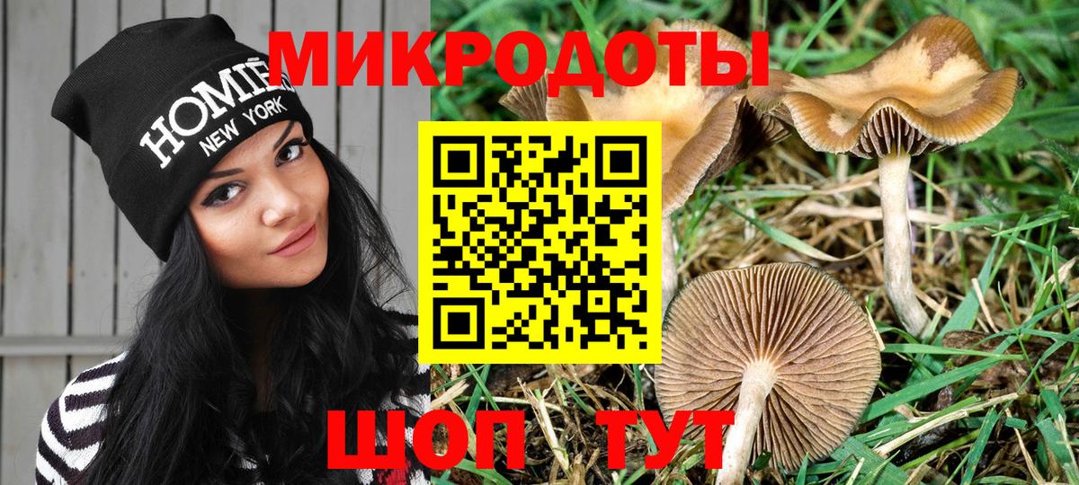 цена   Вход с VPN  Юрга  Псилоцибиновые грибы GOLDEN TEACHER 